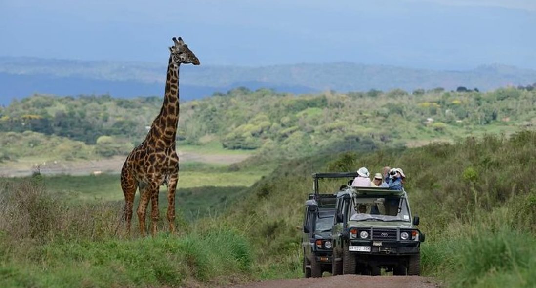 Arusha tanzania safari tour
