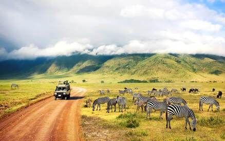 best East Africa safari tours