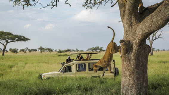 Tanzania overland safari