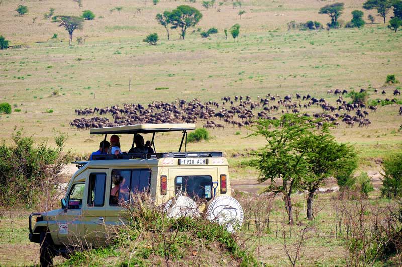 tanzania overland safari