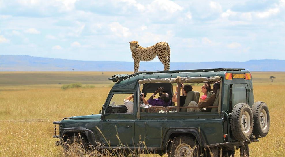 Top african safari destinations
